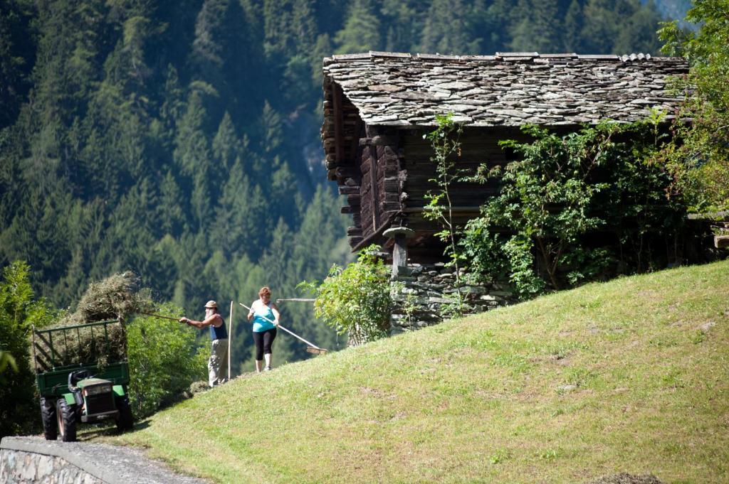 Albergo Castello Da Bonino Champorcher Room photo
